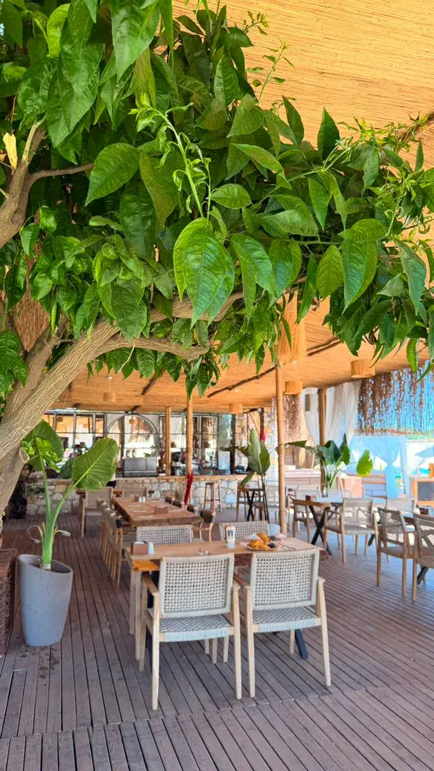 Aura Beach Ayayorgi